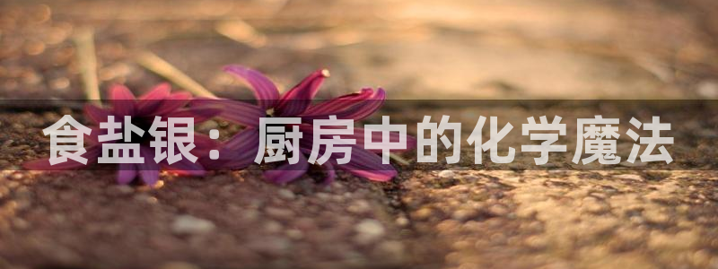 威九国际X8