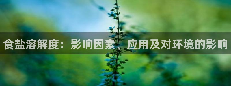 威九国际的金融服务怎么样