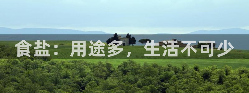 威九国际top