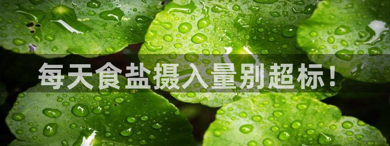 威九国际的演员