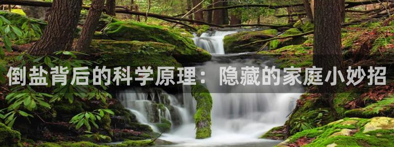 威九国际成长模式怎么样