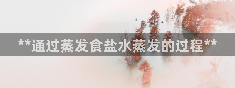 威九国际Info