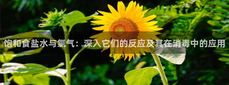 威九国际66m66m