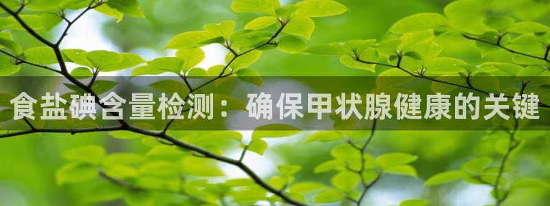 威九国际66mm66