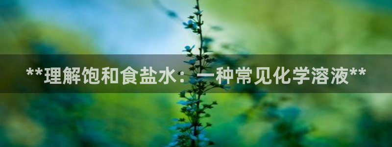 威九国际体育app下载