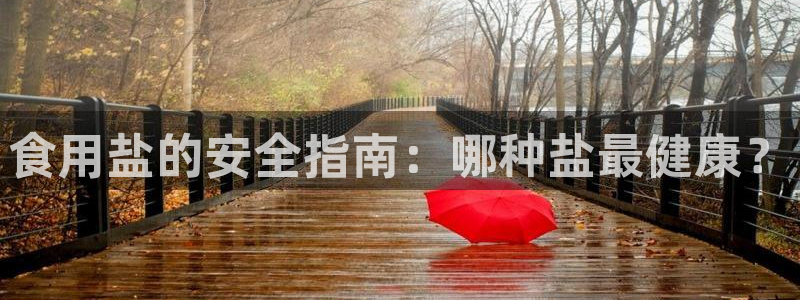 威九国际可以赚到钱
