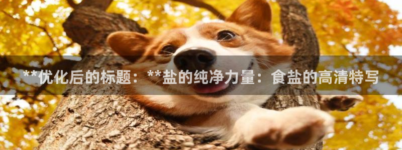 威九国际78m-MBA智库百科