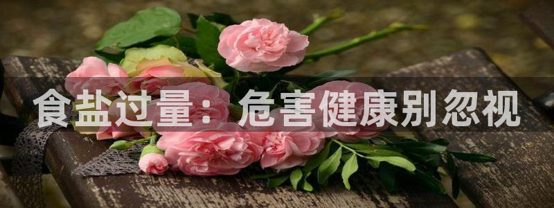 威九国际地址