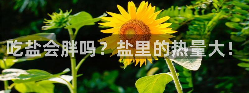 威九国际app客服电话号码