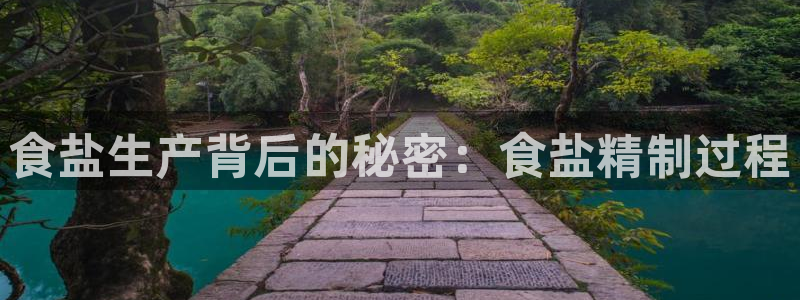 威九国际网站客服电话多少