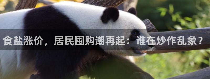 威九国际精彩推荐