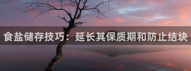 威九国际v8