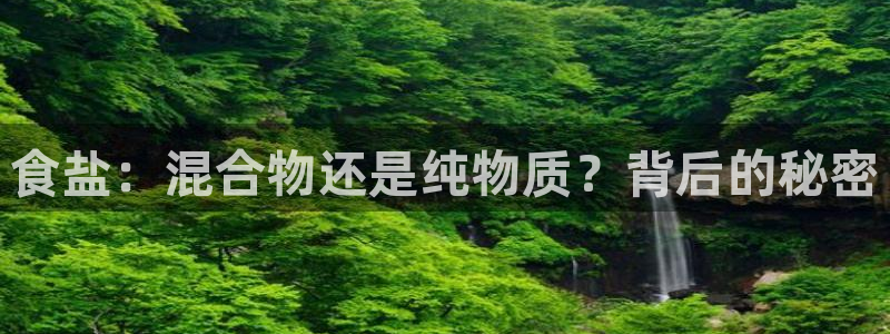 威九国际8ⅹ8x