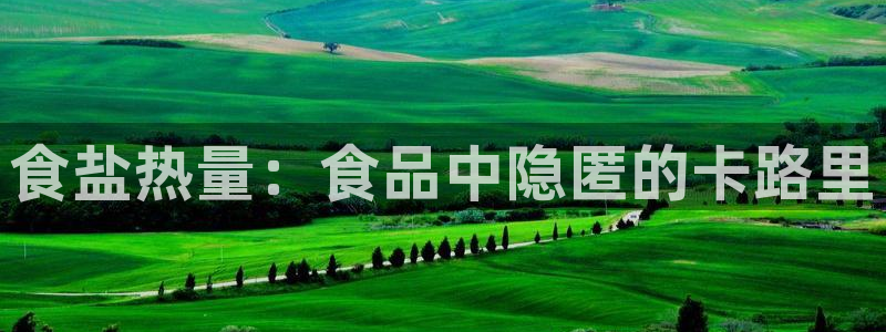 威九国际网站入口官网首页