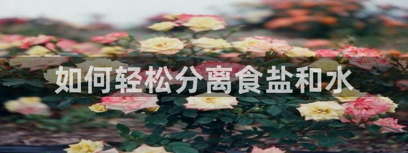 威九国际mm