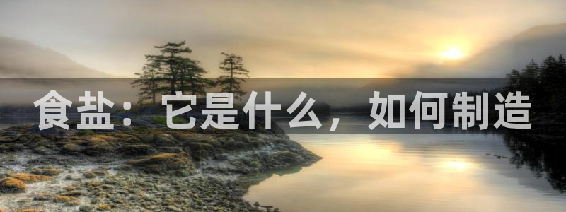 威九国际官网版