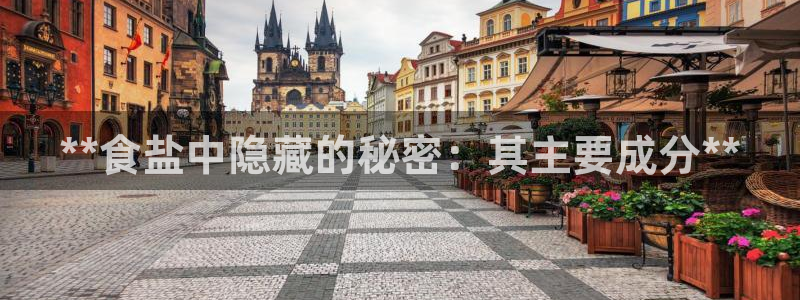 威九国际留学