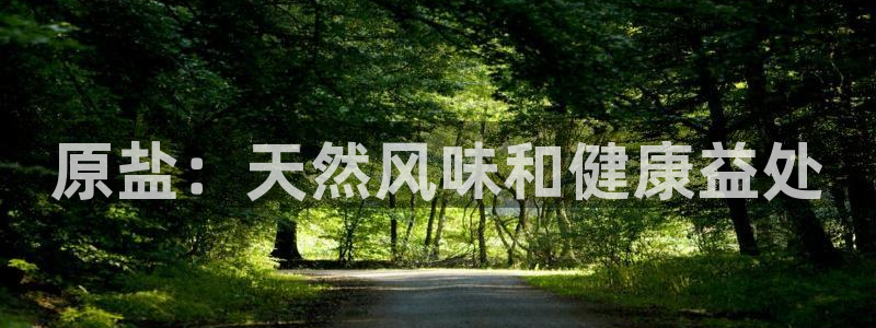威九国际APP那个地方