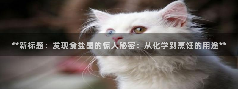 威九国际男主