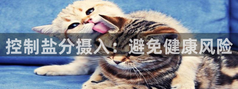 威九国际海域