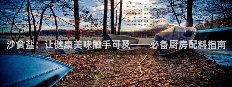 威九国际空降服务女演员名字