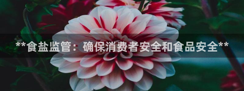 威九国际空降服务女演员名字