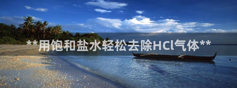 威九国际网站入口地址查询
