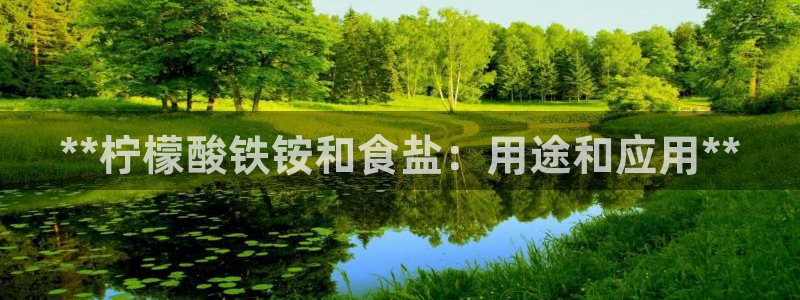 威九国际