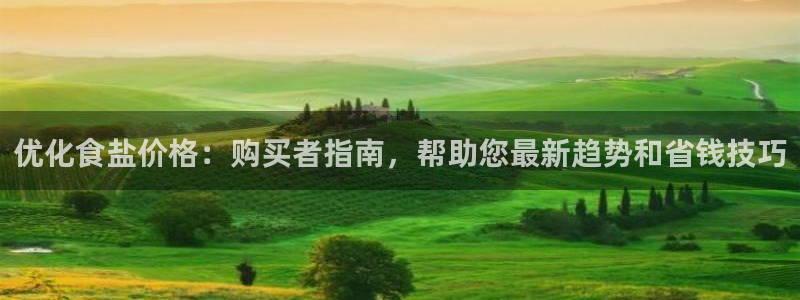 威九国际的金融服务