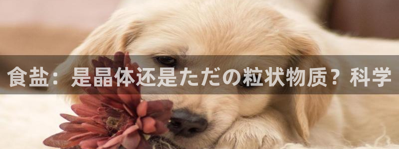 威九国际精甜心诗词网彩片甜心网甜心诗词网
