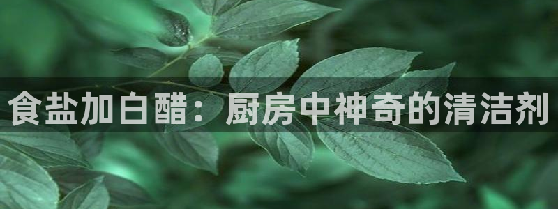 威九国际提款不出来