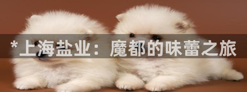 保定威九网络科技有限公司招聘