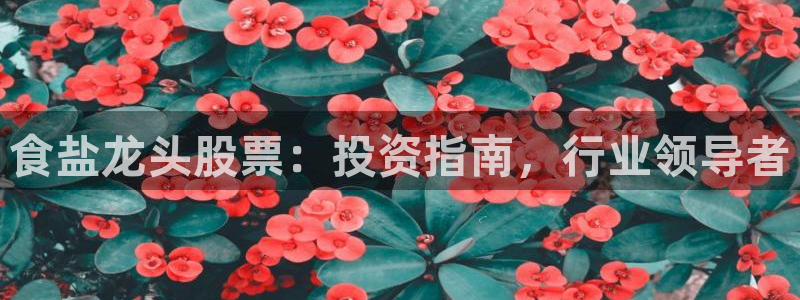 威九国际客服电话是多少