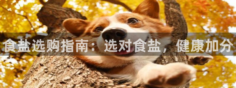 威九国际游戏入口
