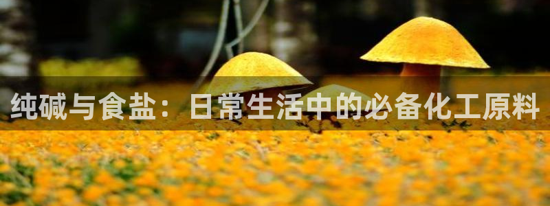 威九国际78mob游戏说明