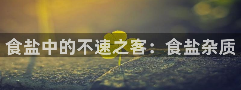 威九国际v96bet官网版