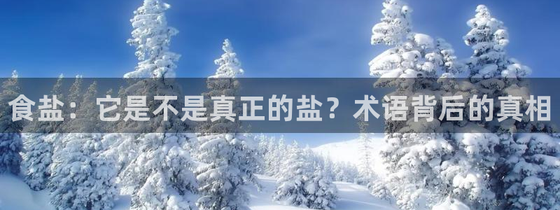 威九国际可以退钱吗怎么退的