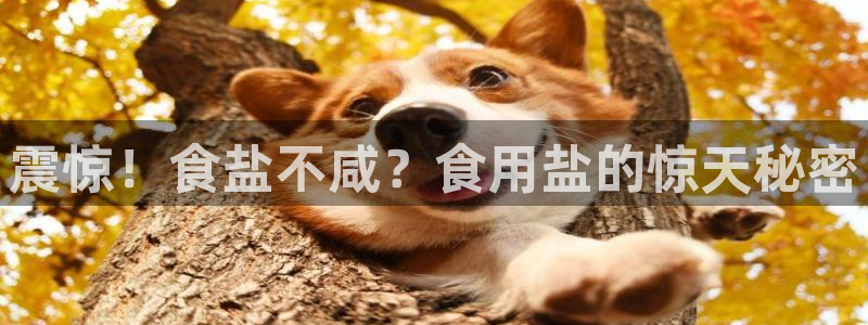 威九国际精彩视频2022年