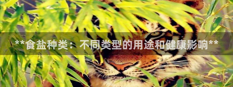 威九国际66m官网版