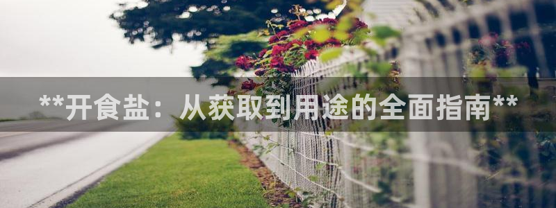 威九国际视频传媒招聘