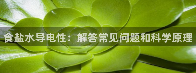 威九国际官网版下载