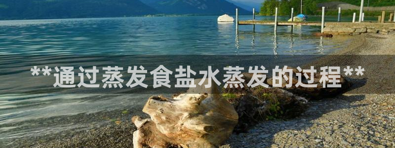 威九国际app客服电话号码