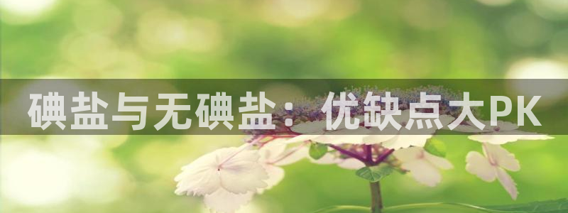 威九国际免费ppt网址