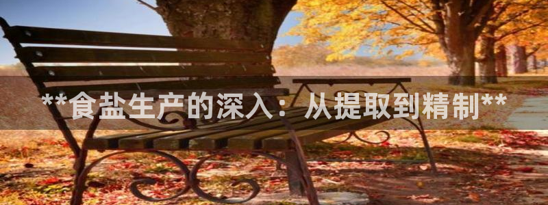 威九国际fX8x