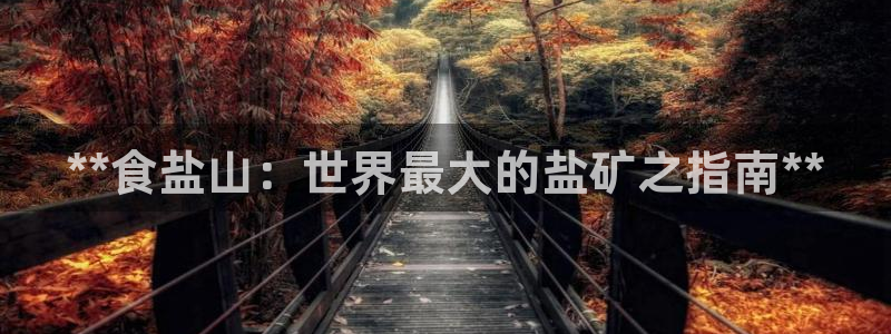 威九国际Info