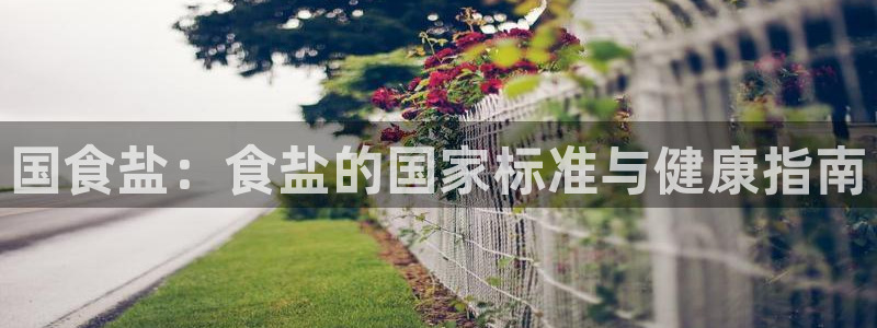 威九国际新