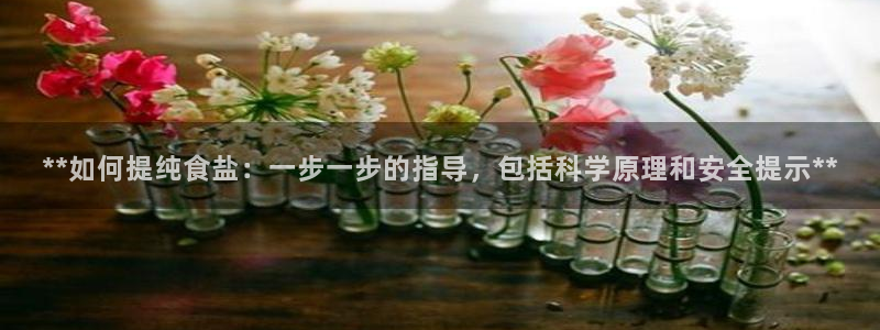 78mapp威九国际成全视频