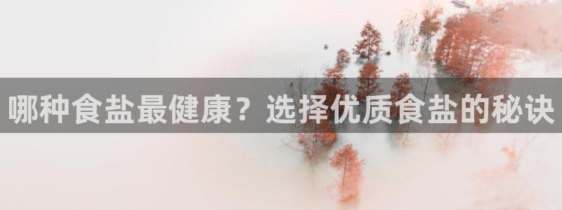 威九国际X8