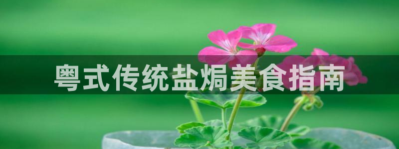 威九国际在线平台怎么样啊