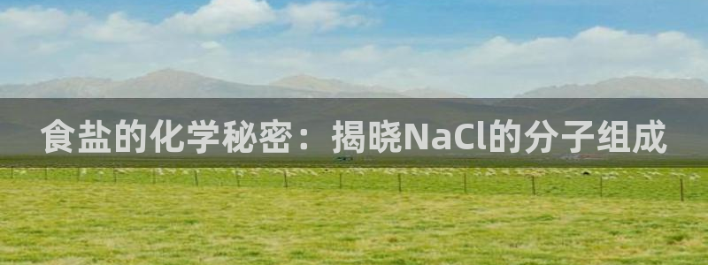 威九国际替好友去